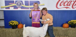 The 2021 Alabama National Fair Youth Beef Cattle Show and Alabama National Fair Goat Shows see winners from Cullman County