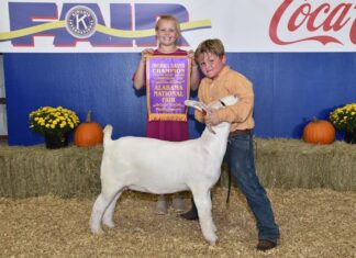 The 2021 Alabama National Fair Youth Beef Cattle Show and Alabama National Fair Goat Shows see winners from Cullman County