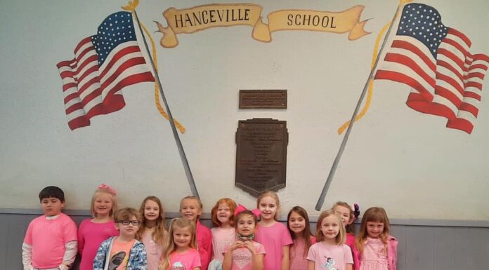 Hanceville Elementary School honors Breast Cancer Awareness