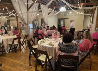 Bosom Buddies Foundation Hosts 2nd Annual Little Pink Dress Party fundraiser