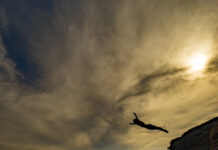 (Editorial) The Policies of Starting Over: The Final Policy