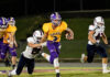 PREP FOOTBALL: Fairview blows past Brewer 55-14