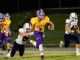 PREP FOOTBALL: Fairview blows past Brewer 55-14