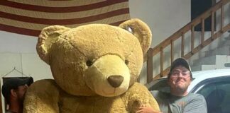 Giant bear sighting in Berlin means a merry Christmas is coming!