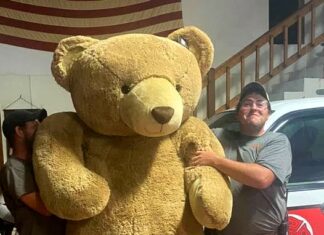 Giant bear sighting in Berlin means a merry Christmas is coming!