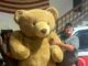 Giant bear sighting in Berlin means a merry Christmas is coming!