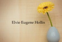 Obituary: Elvie Eugene Hollis