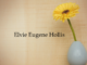 Obituary: Elvie Eugene Hollis