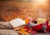 She Reads: fall reading recommendations