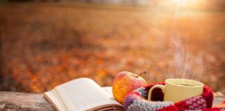 She Reads: fall reading recommendations