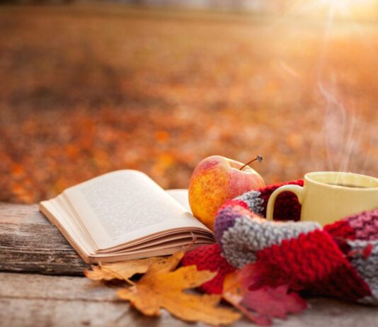 She Reads: fall reading recommendations