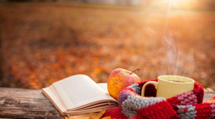 She Reads: fall reading recommendations