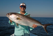 Greater Amberjack, Gray Triggerfish and Flounder season reminders