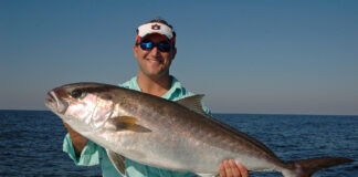 Greater Amberjack, Gray Triggerfish and Flounder season reminders