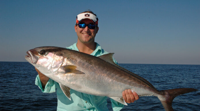 Greater Amberjack, Gray Triggerfish and Flounder season reminders