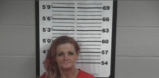 Crane Hill woman arrested following traffic stop