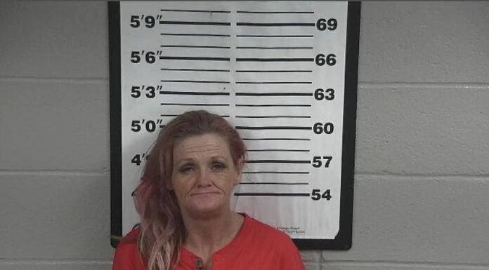 Crane Hill woman arrested following traffic stop