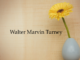 Obituary: Walter Marvin Turney