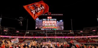 SPORTS COLUMN: Finding clarity in the chaos after week 12