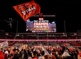 SPORTS COLUMN: Finding clarity in the chaos after week 12