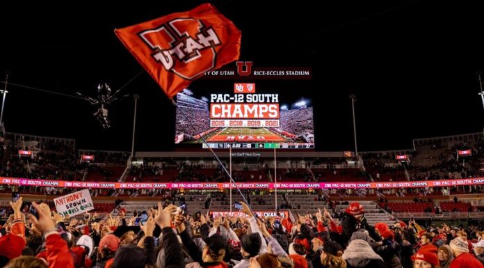 SPORTS COLUMN: Finding clarity in the chaos after week 12