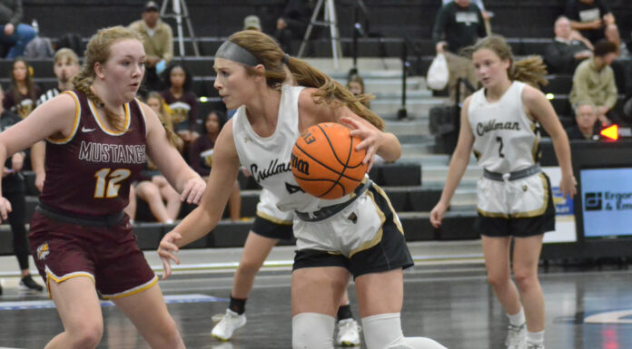 PREP BASKETBALL: Bearcats, Lady Bearcats top Madison Academy in home opener