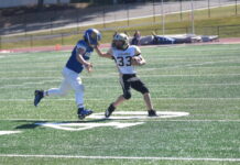 Cyclones sweep Cullman County Youth Football Championship Games