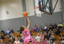 PREP BASKETBALL: Fairview, Cullman, Good Hope compete in Fairview Tip-Off Classic