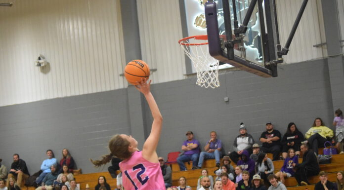 PREP BASKETBALL: Fairview, Cullman, Good Hope compete in Fairview Tip-Off Classic