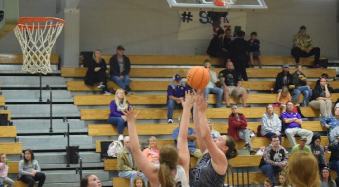 PREP BASKETBALL: Aggies, Lady Aggies collect road wins at Hanceville