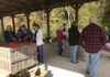 Cullman Master Gardener’s distribute sweet potatoes to non-profit organizations in Cullman
