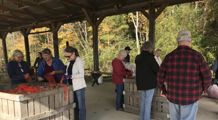 Cullman Master Gardener’s distribute sweet potatoes to non-profit organizations in Cullman