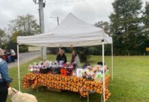 Dirty Dawg Pet Spa & Rescue attends Howl-o-ween in downtown Cullman (Updated)