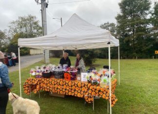 Dirty Dawg Pet Spa & Rescue attends Howl-o-ween in downtown Cullman (Updated)