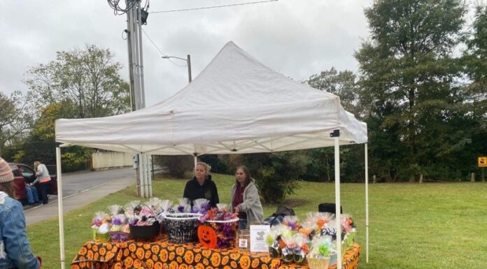 Dirty Dawg Pet Spa & Rescue attends Howl-o-ween in downtown Cullman (Updated)