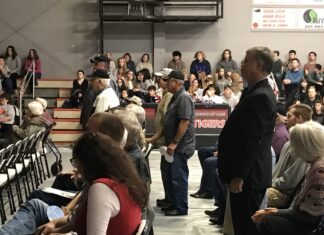 Local veterans honored at Meek High School’s Veterans Day Program Thursday
