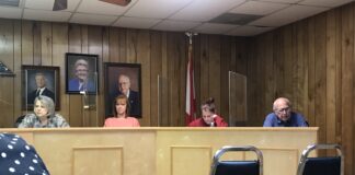 Vote for increased sales tax not unanimous at South Vinemont council meeting