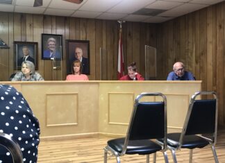 Vote for increased sales tax not unanimous at South Vinemont council meeting