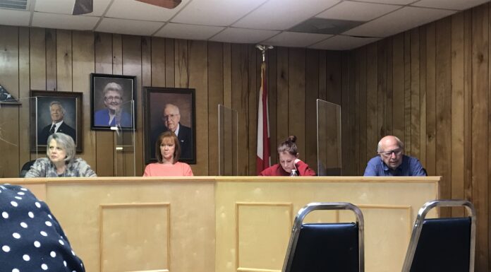 Vote for increased sales tax not unanimous at South Vinemont council meeting