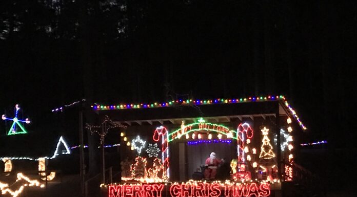 Winter Wonderland Senior Night returns to Sportsman Lake