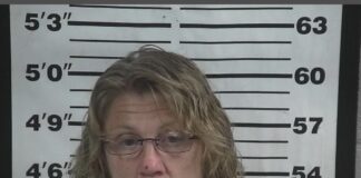Cullman County Sheriff’s Office makes multiple drug and theft related arrests