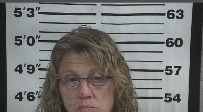 Cullman County Sheriff’s Office makes multiple drug and theft related arrests