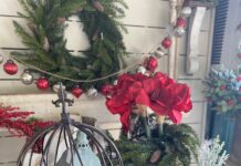 Hartselle based Cedar Grove Farms hosting French Alpine Christmas shopping event