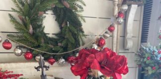 Hartselle based Cedar Grove Farms hosting French Alpine Christmas shopping event