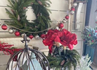 Hartselle based Cedar Grove Farms hosting French Alpine Christmas shopping event