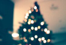 Limited Christmas Trees available in Cullman due to national shortage