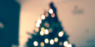 Limited Christmas Trees available in Cullman due to national shortage