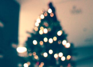 Limited Christmas Trees available in Cullman due to national shortage