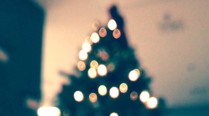 Limited Christmas Trees available in Cullman due to national shortage