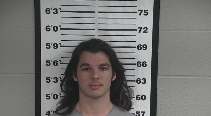 Man arrested for public intoxication and night hunting